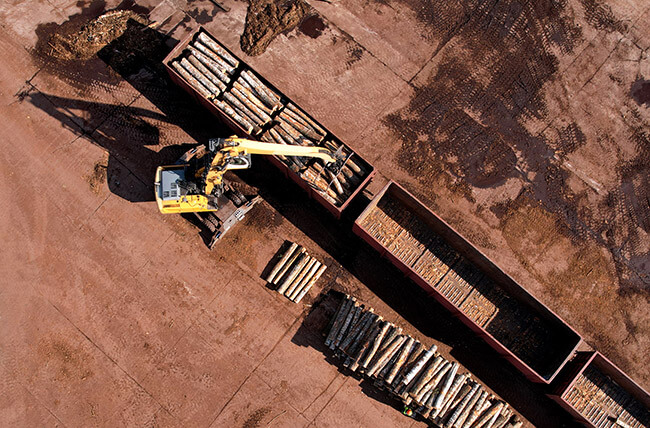 2ST logistics Verladung von Holz in Container